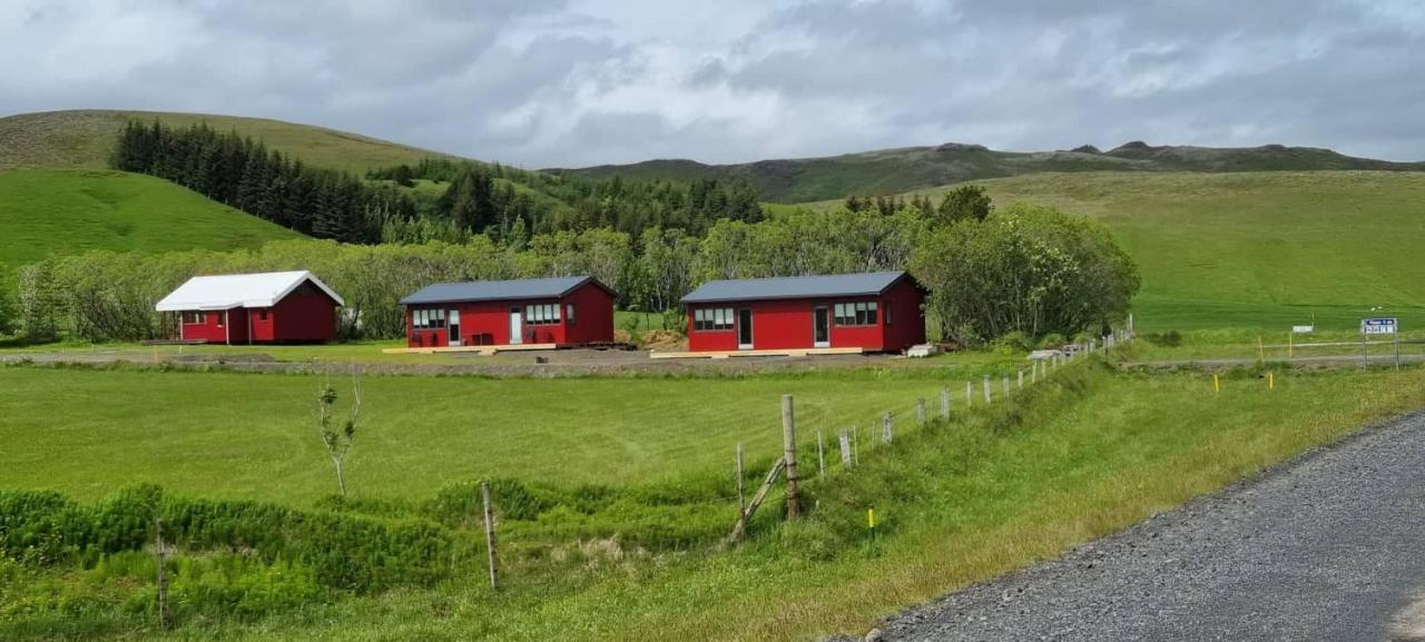 New And Well Furnished Studio Apartment For Two 30 Km From Kirkjubaejarklaustur Perfect Place To Stay At Right Between Black Beach And Joekulsarlon 外观 照片